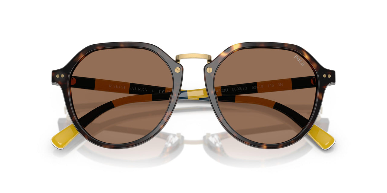 500373 - Tortoise - Dark Brown
