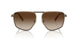 100113 - Grey - Brown Gradient