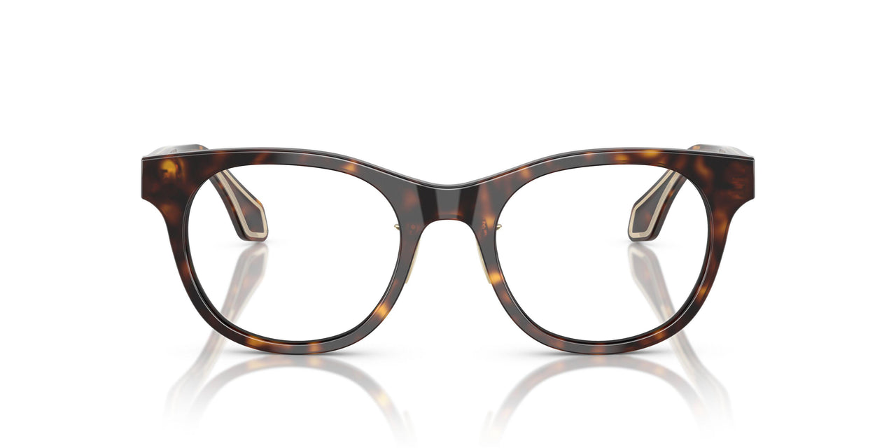 5026 - Tortoise