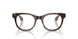 5026 - Tortoise