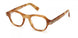 ZEGNA 5341 Eyeglasses