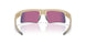 953405 - Brown - Prizm Road