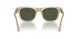 116931 - Brown - Green