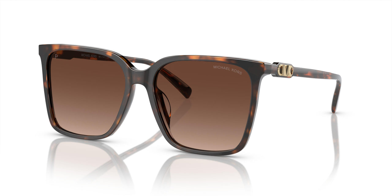 3006T5 - Tortoise - Brown Gradient Polar