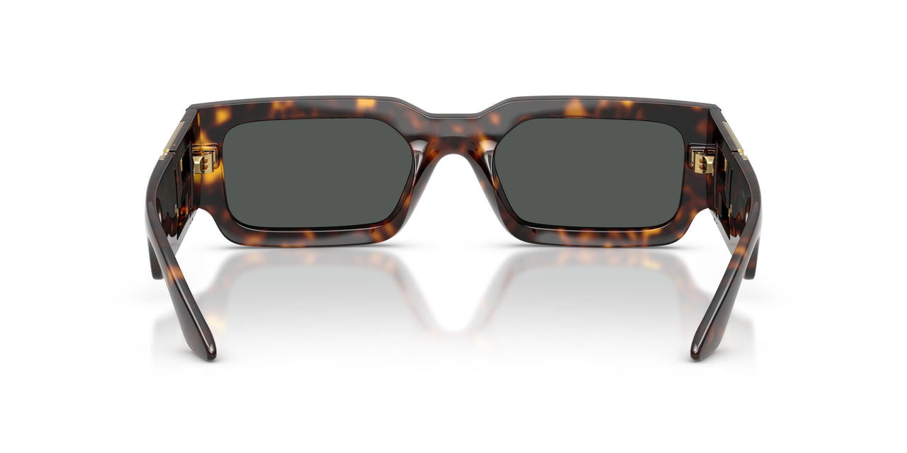 108/87 - Tortoise - Dark Grey