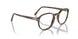 1208 - Tortoise - Clear