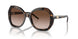 502613 - Tortoise - Gradient Brown