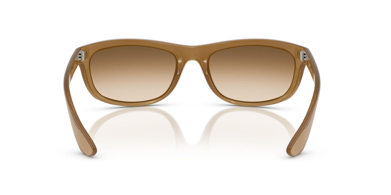 678951 - Brown - Clear Gradient Brown