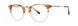 Vera Wang V548 Eyeglasses