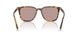 14L20I - Tortoise - Light Purple Brown