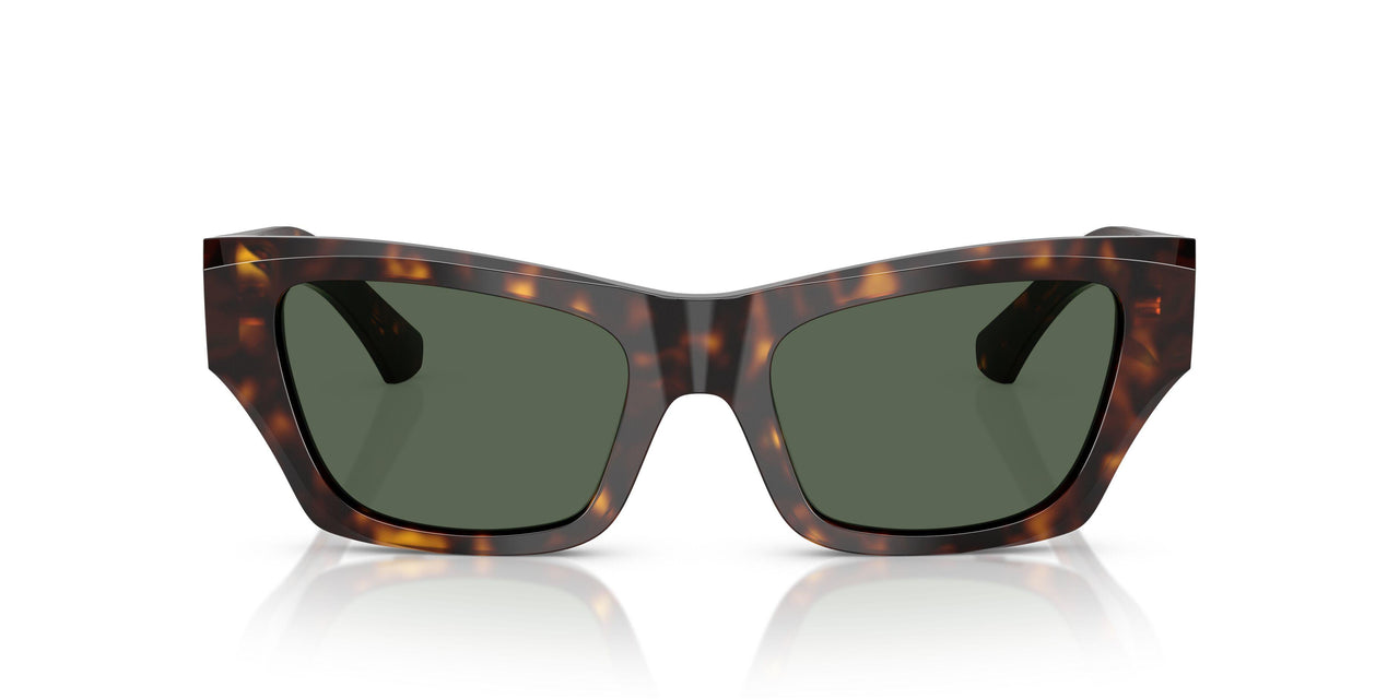 300271 - Brown - Dark Green