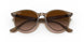 616613 - Light Brown - Brown Gradient Dark Brown
