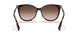 300213 - Havana - Brown Gradient