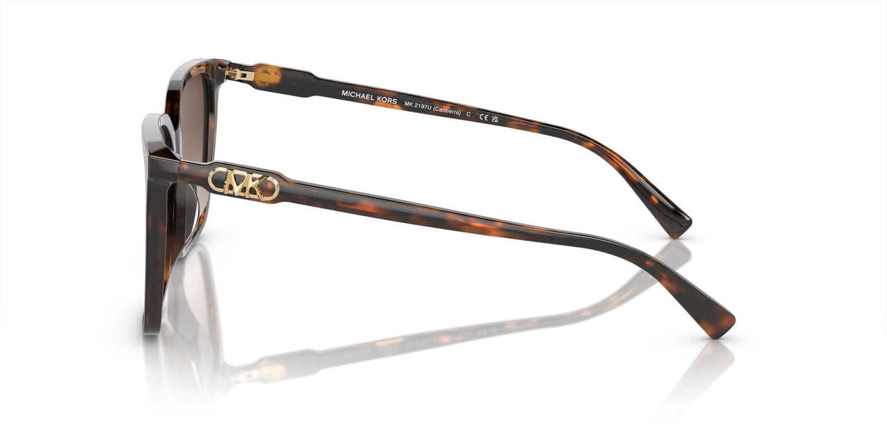 300613 - Tortoise - Brown Gradient