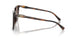 300613 - Tortoise - Brown Gradient