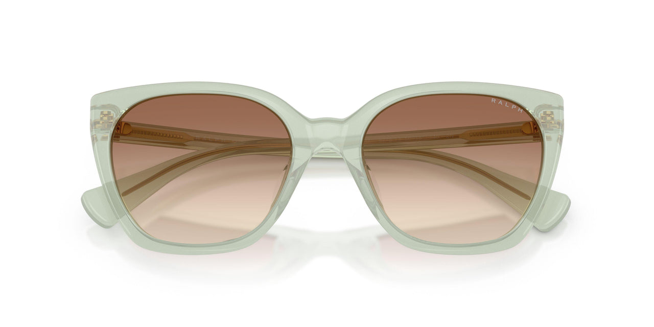 627813 - Green - Light Brown Gradient