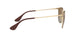 112/T5 - Gold - Light Grey Grad Brown Polar