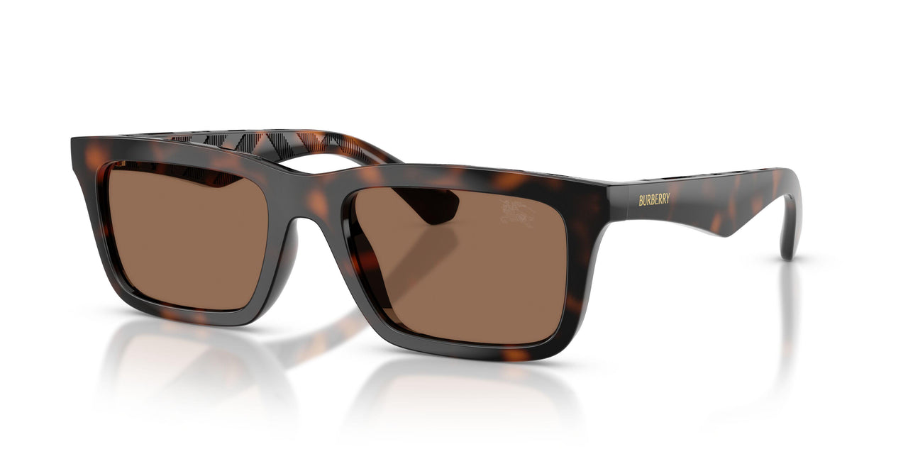 300273 - Brown - Dark Brown