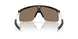 901023 - Black - Prizm 24k