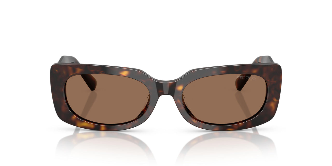 500273 - Tortoise - Dark Brown