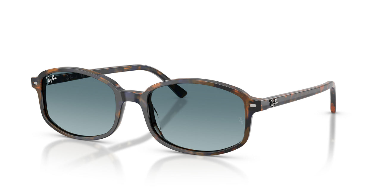 13563M - Tortoise - Blue Gradient Grey