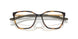 801304 - Tortoise