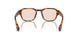 004 - Brown