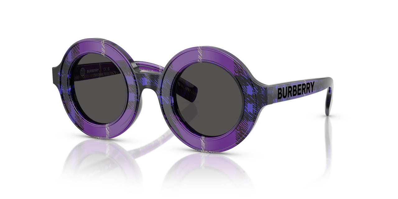 411387 - Violet - Dark Grey