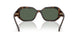 300671 - Tortoise - Green Solid