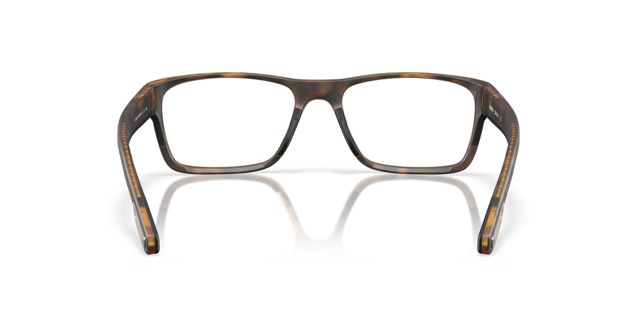 801504 - Tortoise