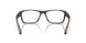 801504 - Tortoise