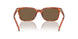 577473 - Tortoise - Brown Solid