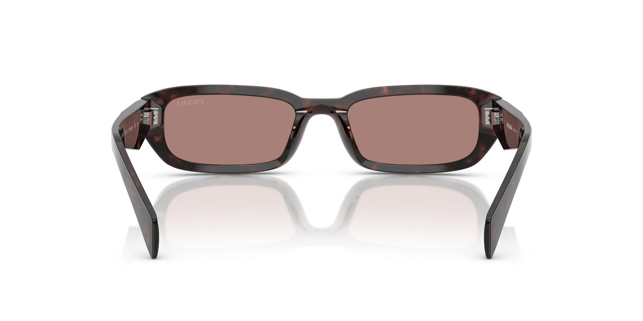 17N60B - Tortoise - Light Brown