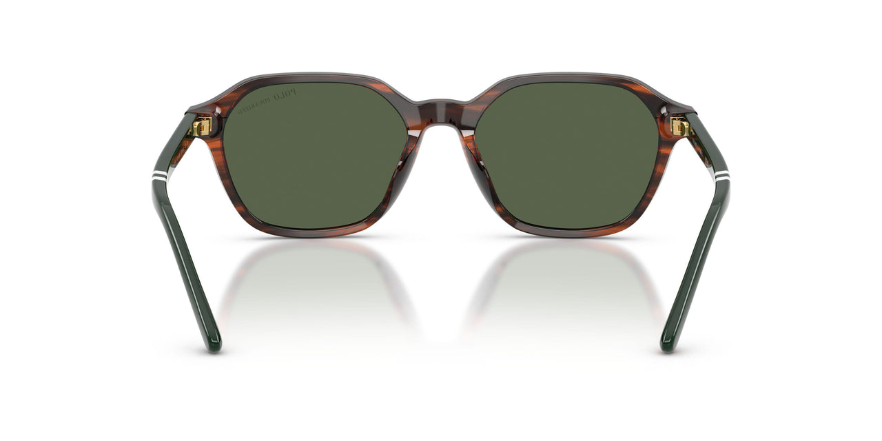 63159A - Tortoise - Polar Green