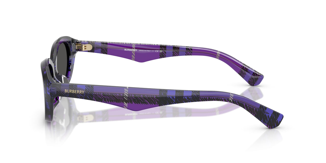 411387 - Violet - Dark Grey