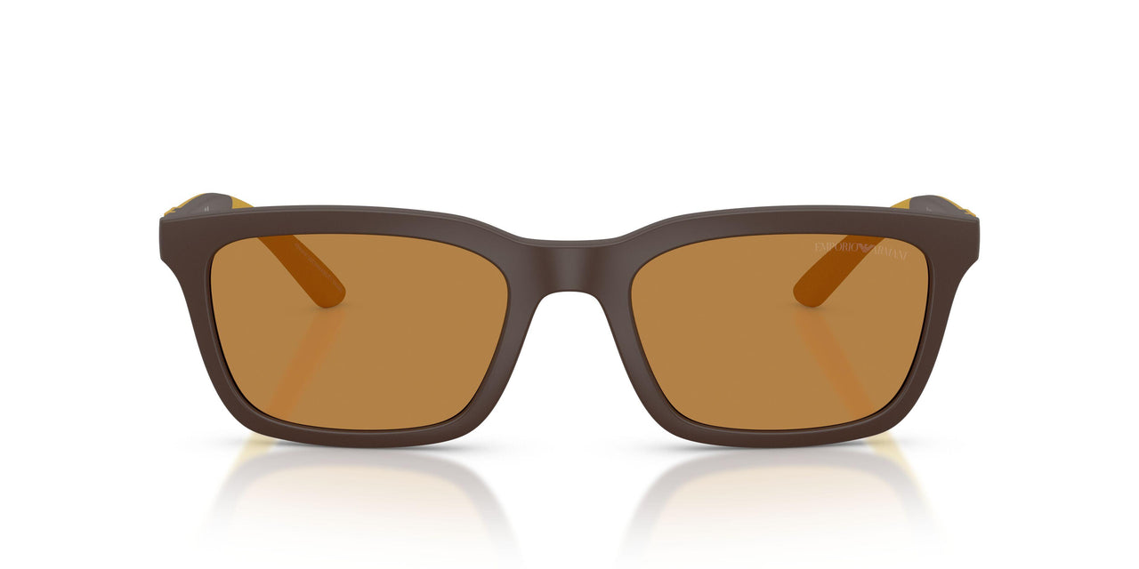 625893 - Brown - Light Brown