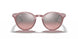 616613 - Turtledove - Brown Gradient