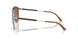 304573 - Silver - Dark Brown