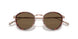 333573 - Tortoise - Dark Brown