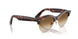 143251 - Havana - Clear Gradient Brown
