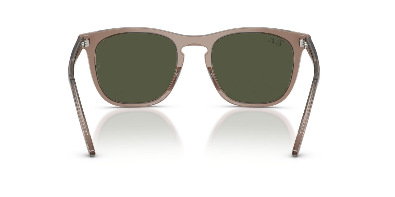 845731 - Brown - Green
