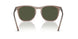 845731 - Brown - Green
