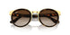 001/13 - Tortoise - Brown