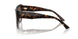 500213 - Tortoise - Gradient Brown