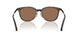300273 - Tortoise - Solid Brown