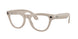 Ray-Ban Meta Skyler 4010 Sunglasses