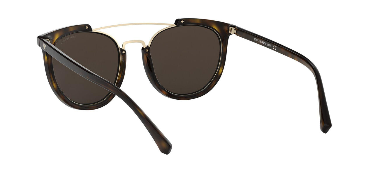 50265A - Havana - Light Brown Mirror Dark Gold