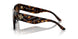 172813 - Havana - Brown Gradient