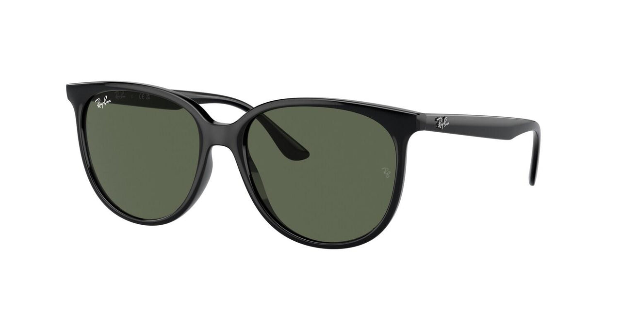 Ray-Ban 4378F Sunglasses