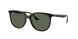 Ray-Ban 4378F Sunglasses